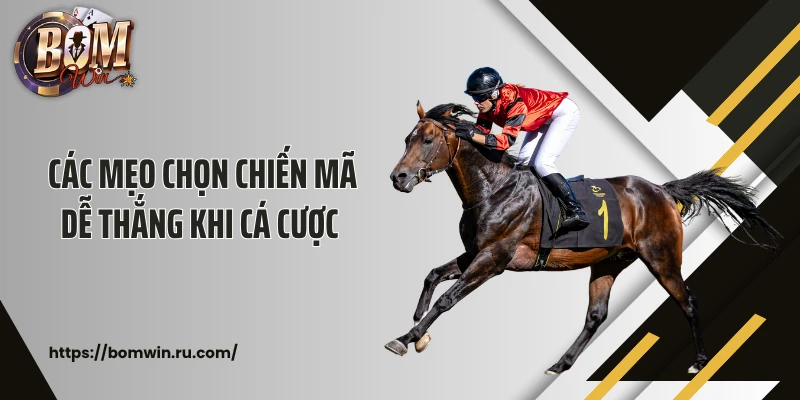 Các mẹo chọn chiến mã dễ thắng khi cá cược 