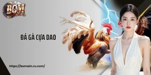 Đá Gà Cựa Dao: Săn Thưởng Đấu Kê Kịch Tính Tại Bomwin