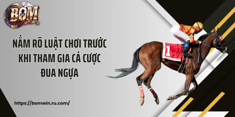 Nắm rõ luật chơi trước khi tham gia cá cược đua ngựa